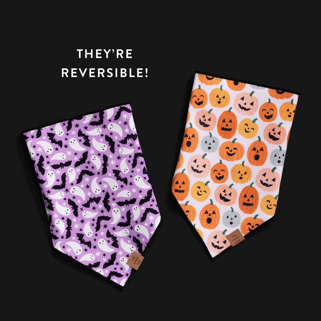 Jack-o’-Lanterns Reversible Halloween Dog Bandana