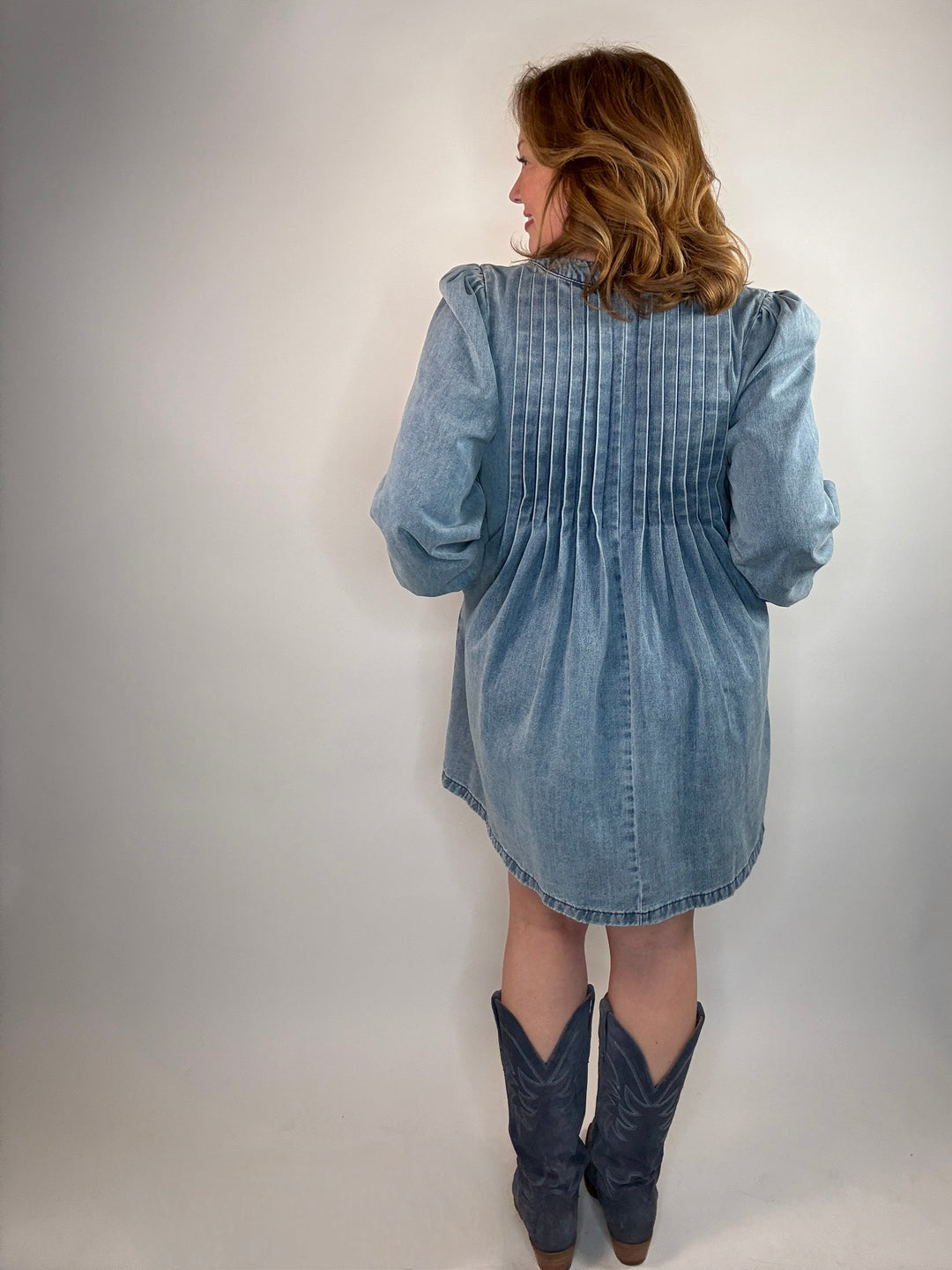 Laurel Long Sleeve Denim Dress