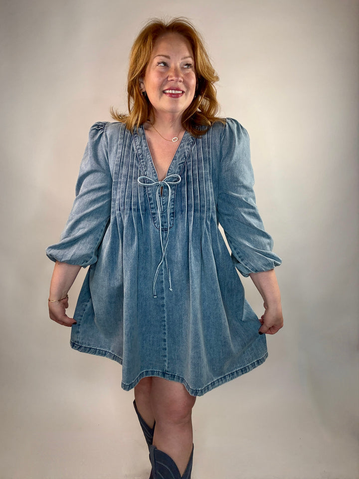Laurel Long Sleeve Denim Dress