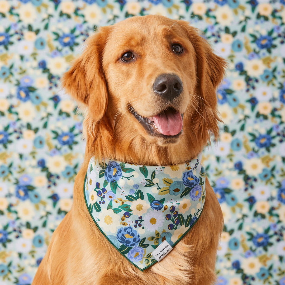 Vintage Blossom Spring Dog Bandana