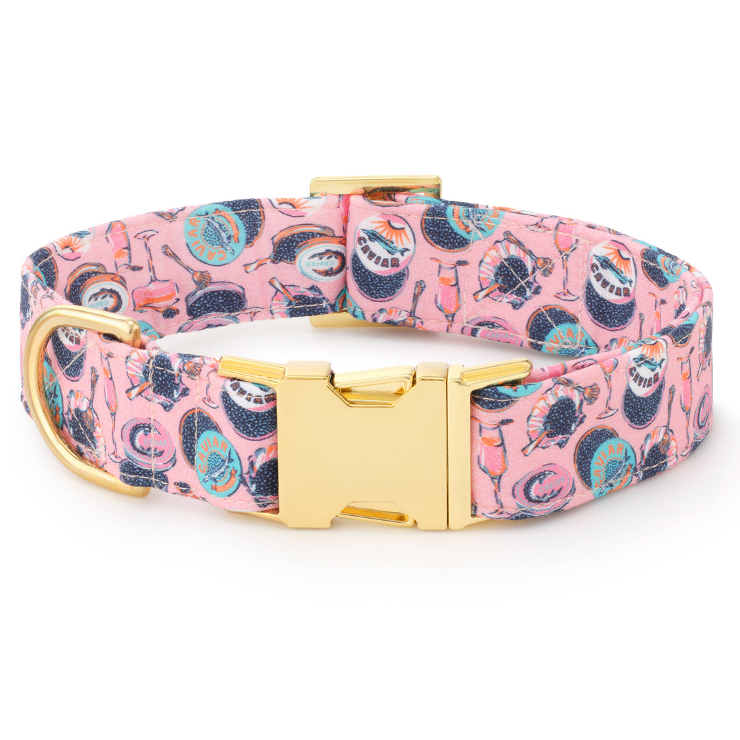 Champagne and Caviar Dog Collar