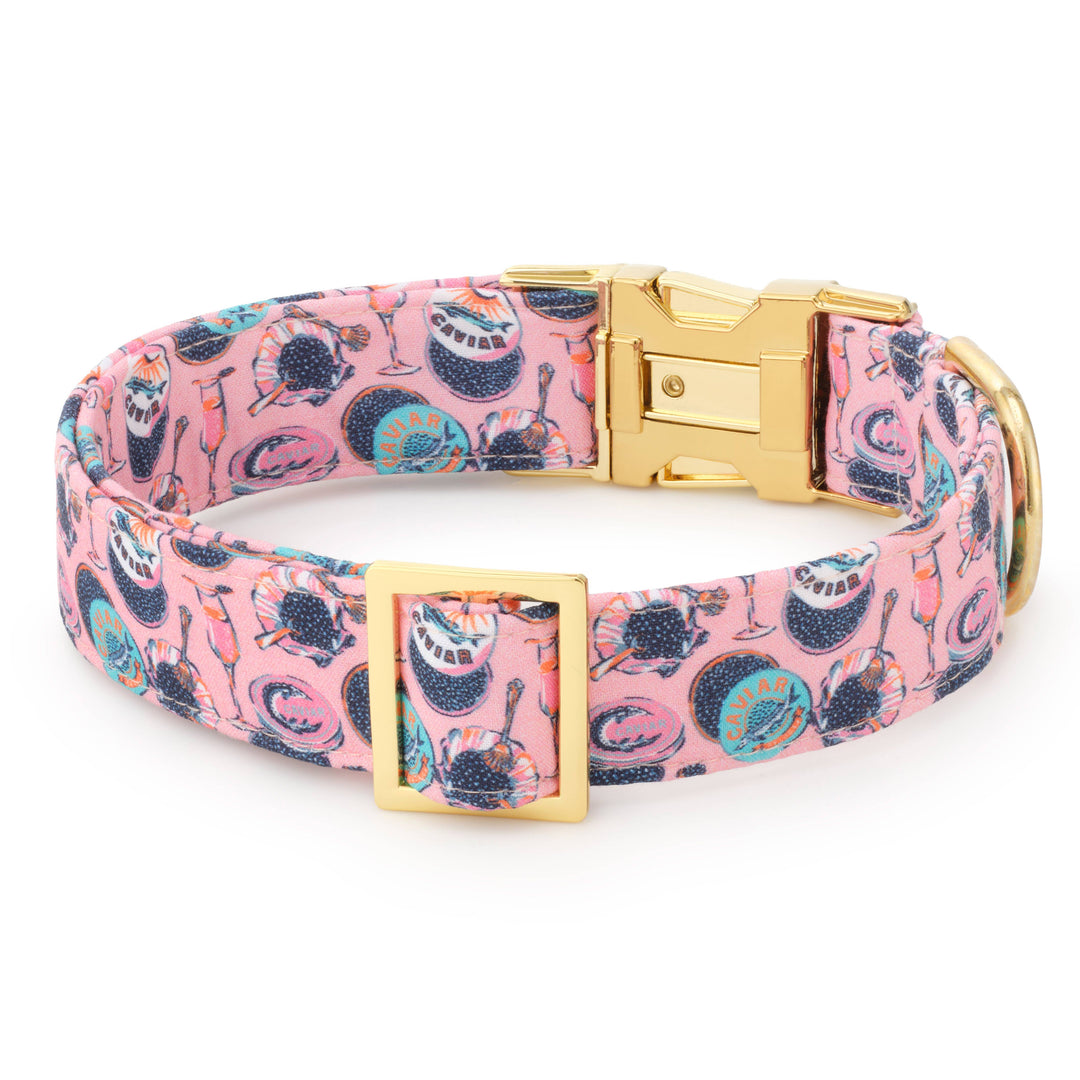 Champagne and Caviar Dog Collar