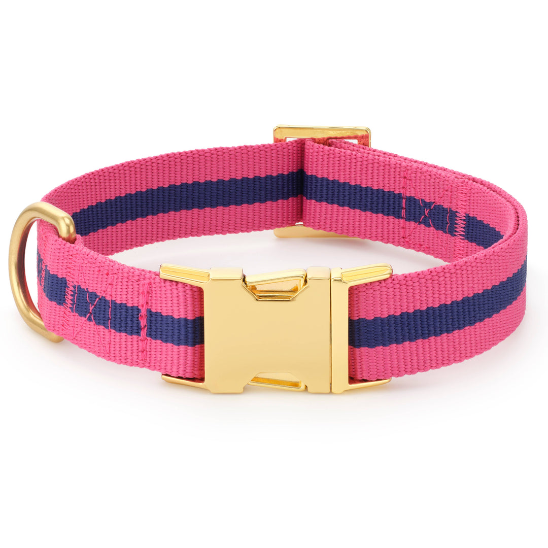 Sloane Striped Webbing Dog Collar