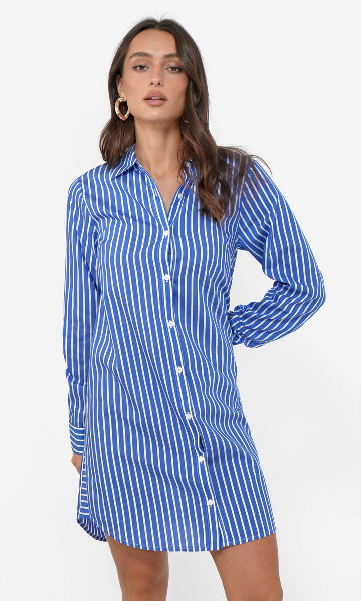 Nanda Stripe Shirtdress