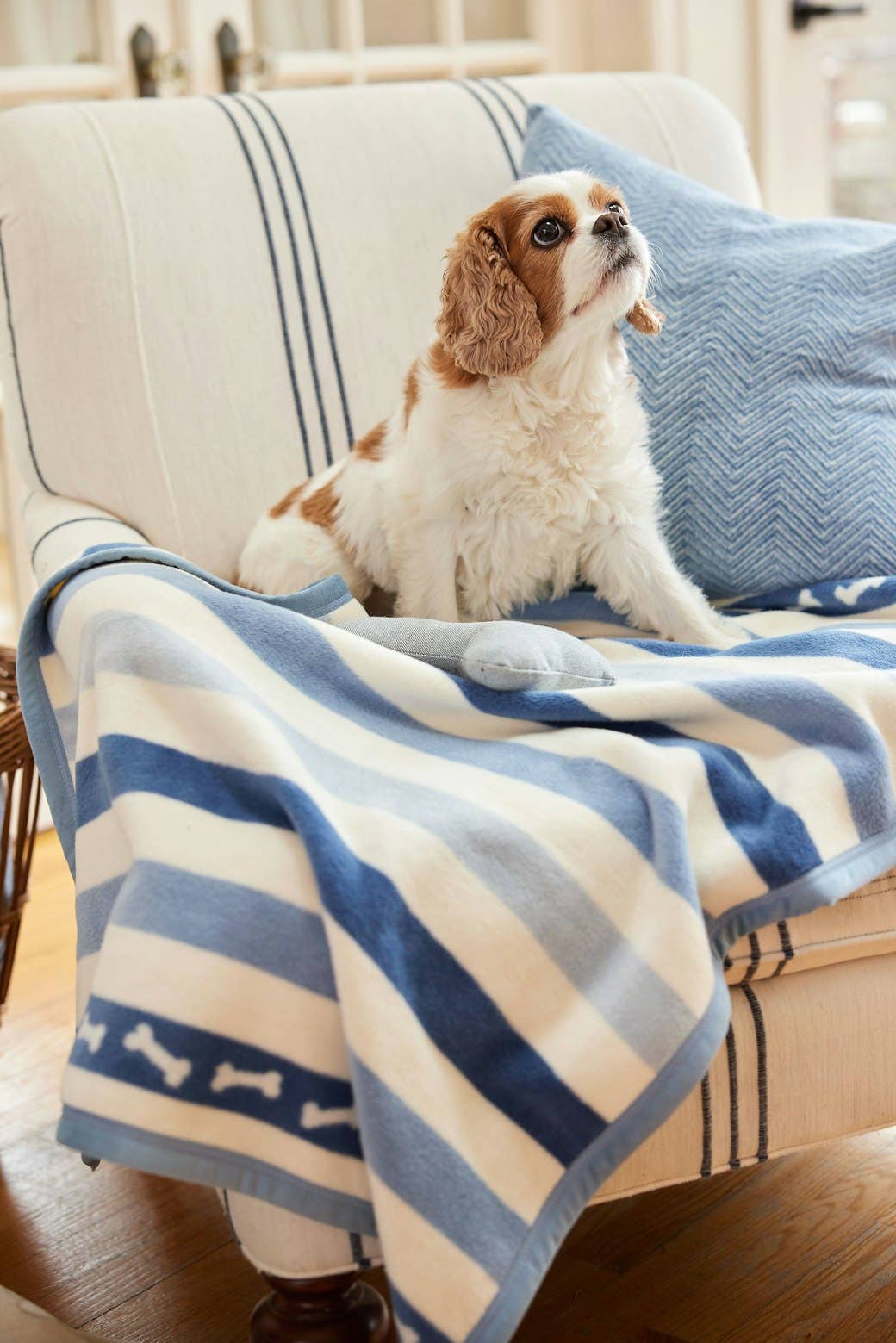 ChappyWrap - Brant Point Bones Mini Blanket: Mini