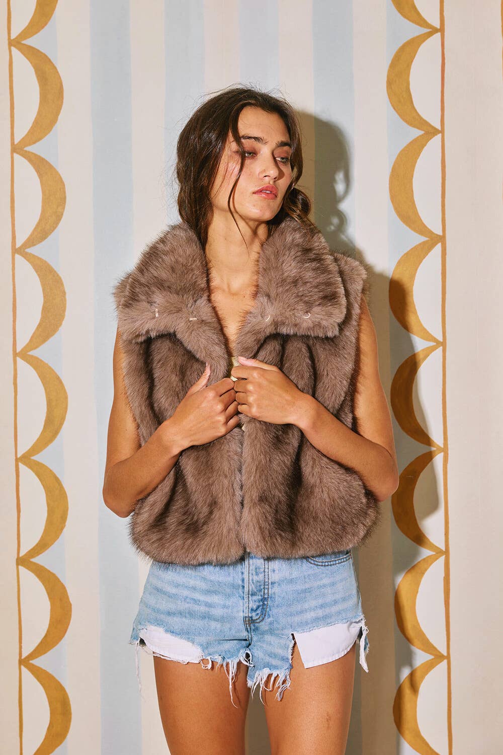 Faux Fur Vest