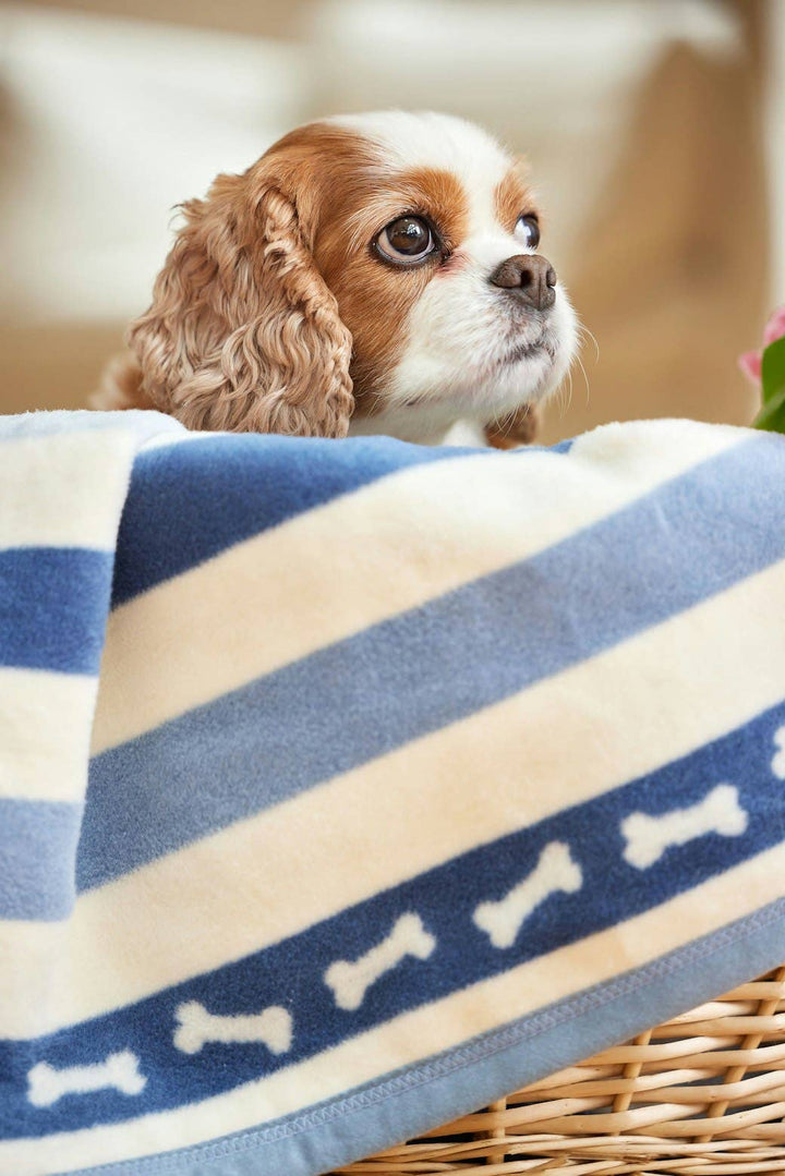 ChappyWrap - Brant Point Bones Mini Blanket: Mini