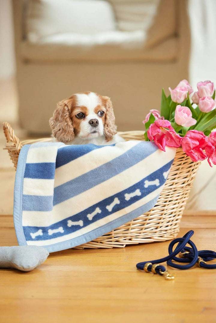 ChappyWrap - Brant Point Bones Mini Blanket: Mini