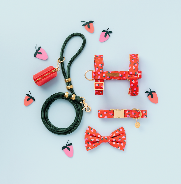Berry Sweet Dog Collar